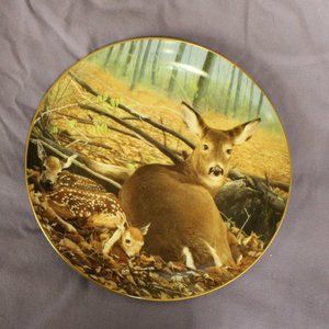 Pride of the Wilderness Plate - Fresh Start